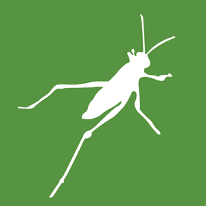 Logo rhinoceros
